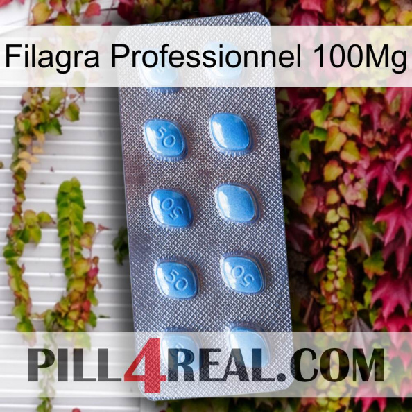 Filagra Professional 100Mg viagra3.jpg